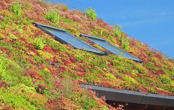 Frampton Mansell living roof systems