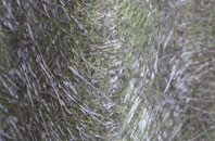 Frampton Mansell fibreglass roof work